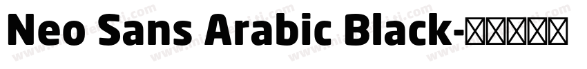 Neo Sans Arabic Black字体转换